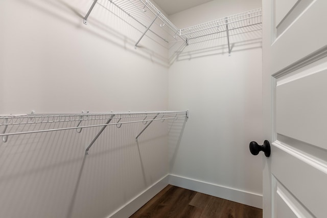 spacious closet with dark wood-type flooring