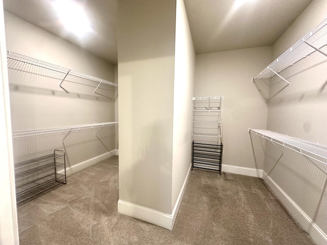7574 Catchfly Dr Unit 274, Ooltewah, TN 37363 - spacious closet featuring carpet