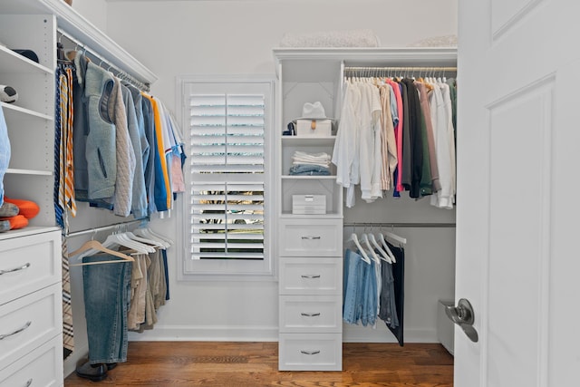 spacious closet with dark hardwood / wood-style floors