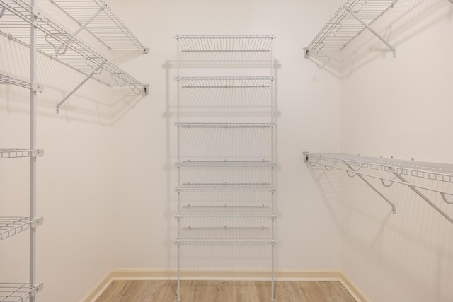 spacious closet featuring wood-type flooring