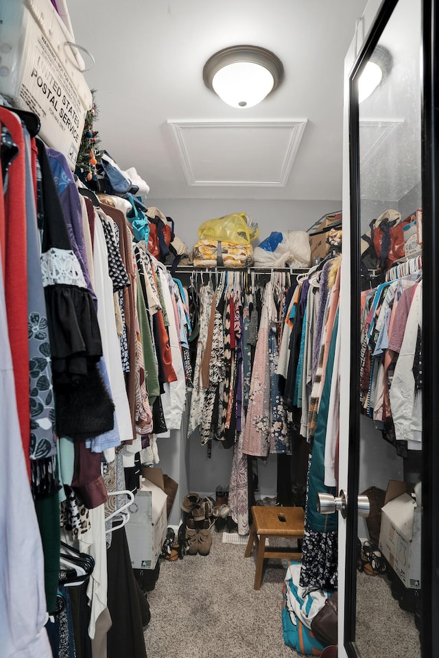 spacious closet featuring carpet