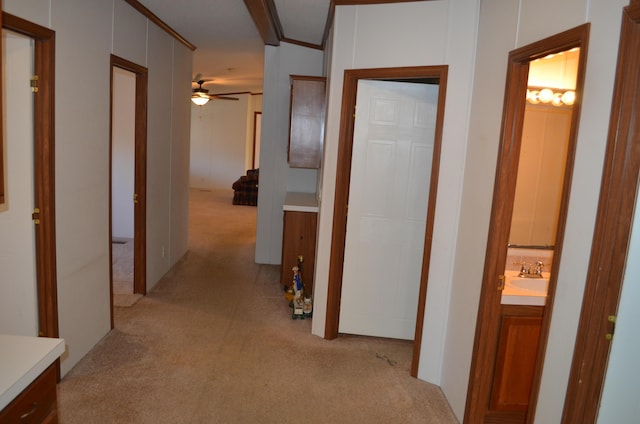 corridor featuring light carpet, crown molding, and sink