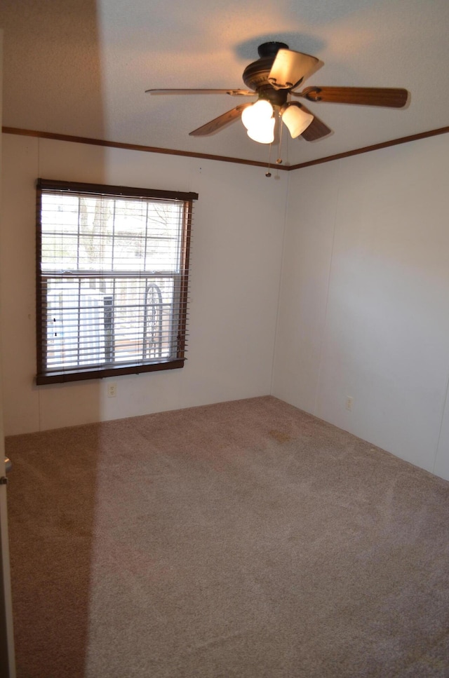 carpeted spare room featuring ceiling fan and crown molding