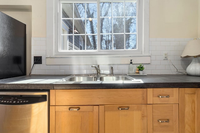 kitchen with sink, decorative backsplash, and dishwasher