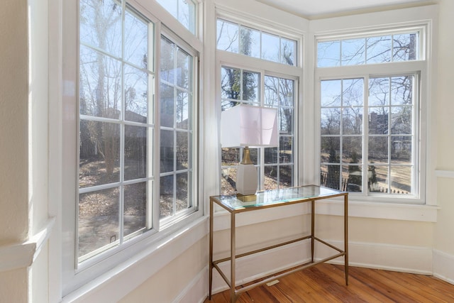 interior space with hardwood / wood-style flooring and plenty of natural light