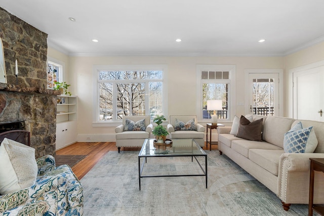 living room featuring ornamental molding, a fireplace, and wood-type flooring