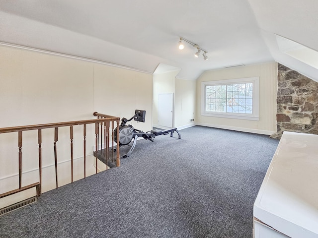 bonus room with carpet and lofted ceiling