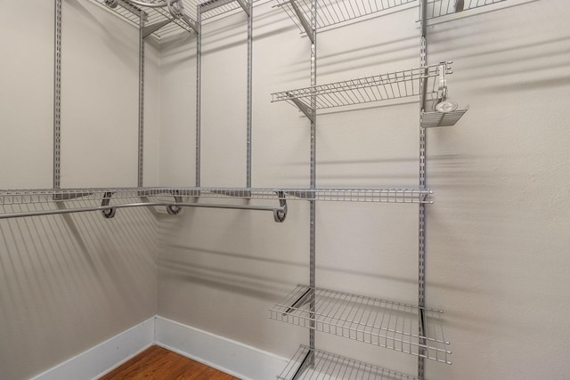 walk in closet featuring hardwood / wood-style flooring