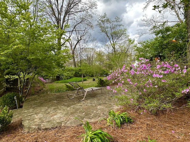 608 Texas Ave, Signal Mountain, TN 37377 - view of yard featuring a patio area