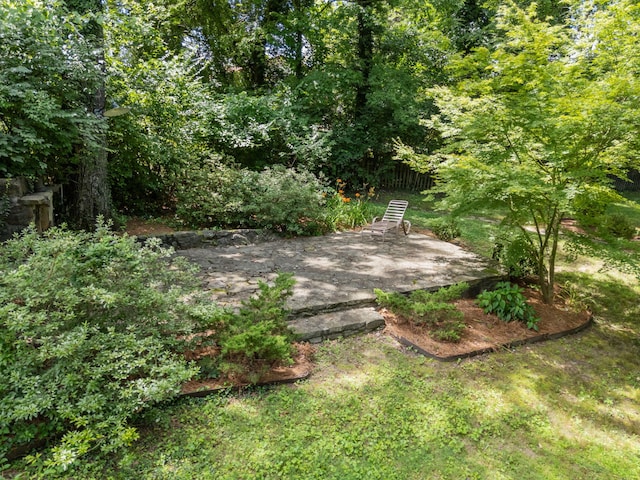 608 Texas Ave, Signal Mountain, TN 37377 - view of yard featuring a patio area
