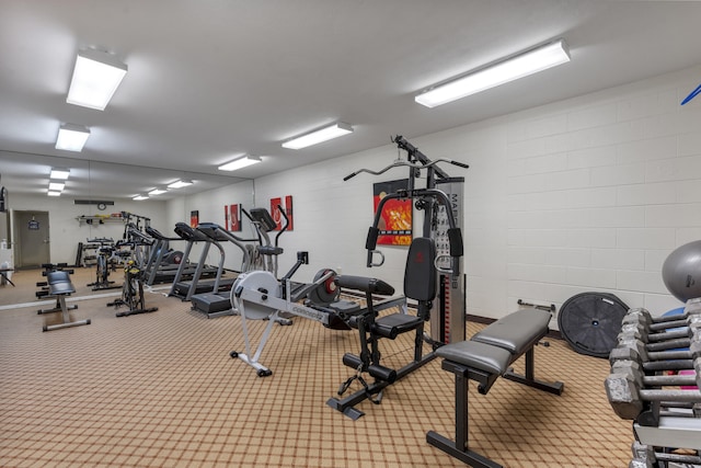 workout area with carpet flooring