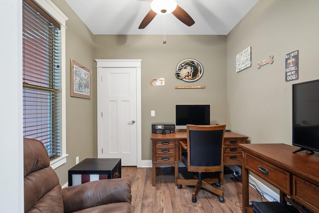 office featuring ceiling fan and light hardwood / wood-style flooring