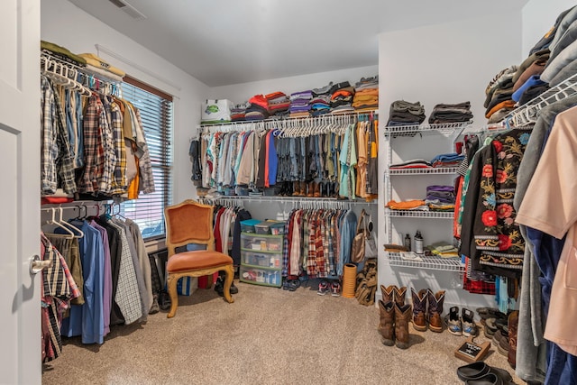 walk in closet featuring carpet floors