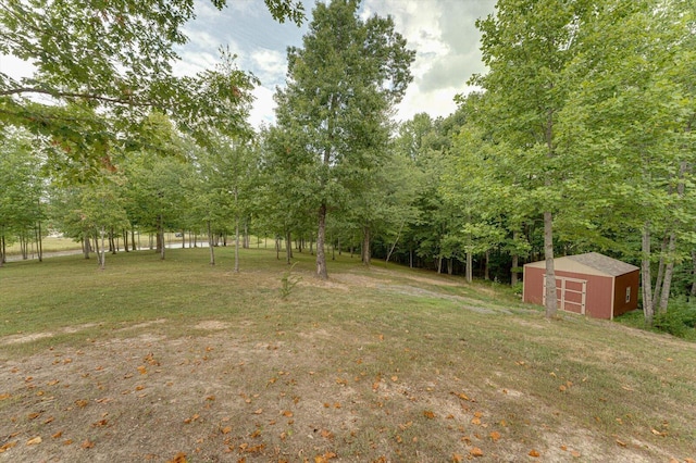 view of yard with an outdoor structure