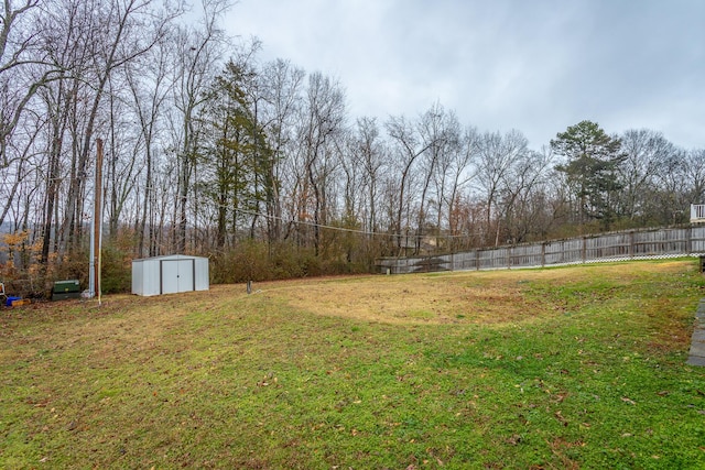 view of yard with a storage unit