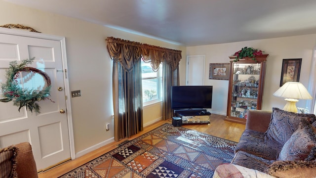 living room featuring hardwood / wood-style floors