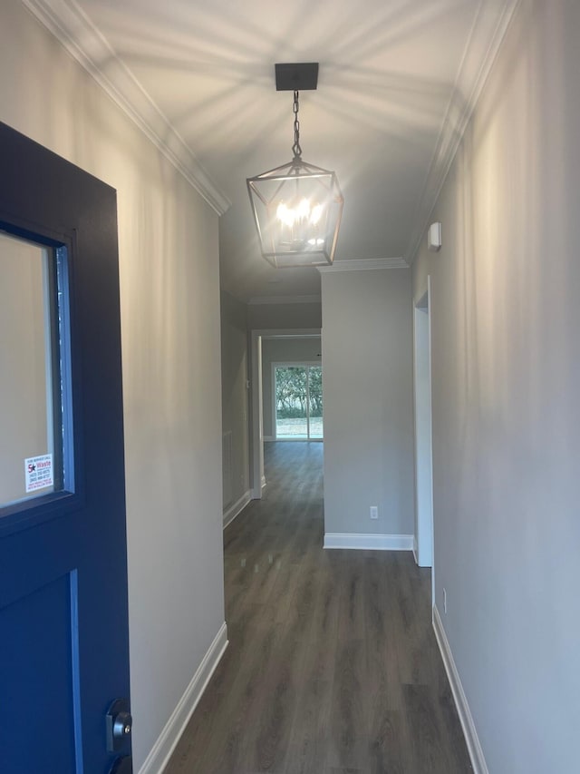 hallway with dark wood-type flooring, ornamental molding, and a chandelier