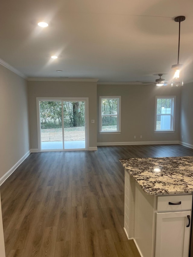 interior space featuring dark hardwood / wood-style flooring, crown molding, and a healthy amount of sunlight