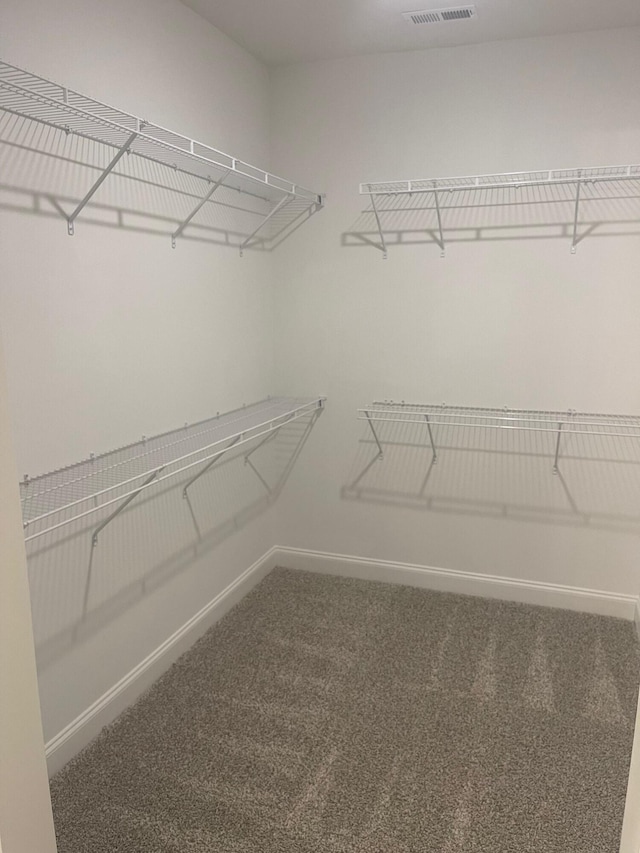 spacious closet featuring carpet floors