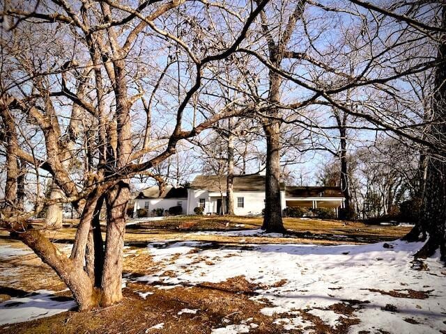 view of yard covered in snow