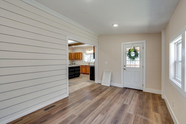 foyer featuring hardwood / wood-style flooring, sink, and a wealth of natural light