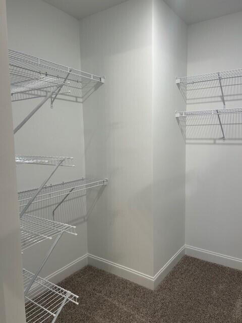 spacious closet featuring dark colored carpet