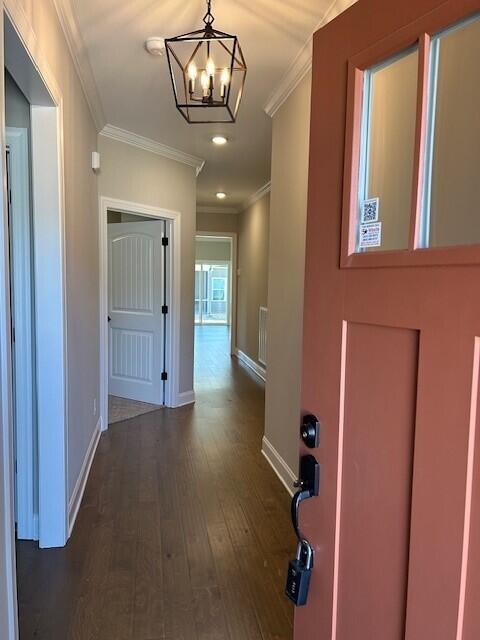 hallway featuring dark wood-type flooring, crown molding, and a chandelier