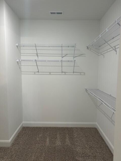 walk in closet featuring dark carpet