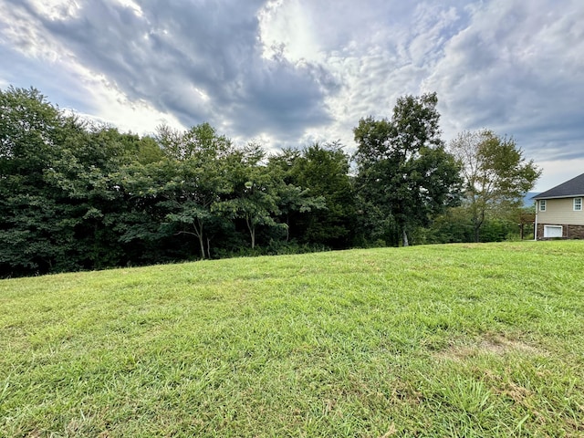 Listing photo 2 for 0 Skyhigh Dr Unit 25, Dunlap TN 37327