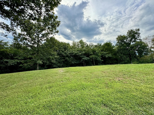 Listing photo 3 for 0 Skyhigh Dr Unit 25, Dunlap TN 37327