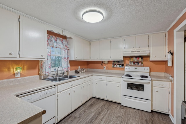 kitchen featuring light wood-type flooring, sink, white appliances, and white cabinetry