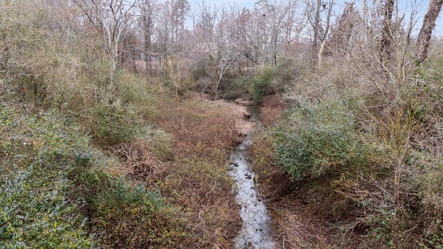 view of local wilderness