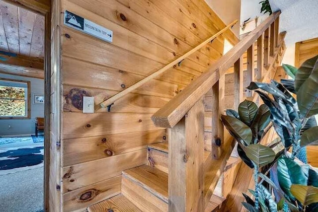 room details featuring wood walls and carpet flooring