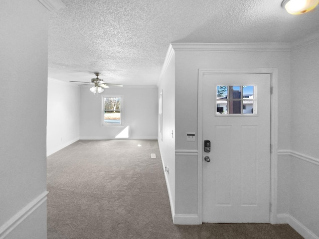 carpeted entryway featuring ceiling fan, ornamental molding, and a textured ceiling