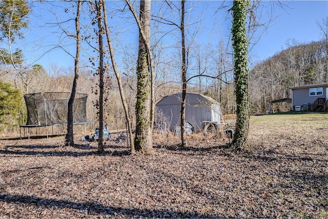 view of yard featuring a trampoline and an outdoor structure