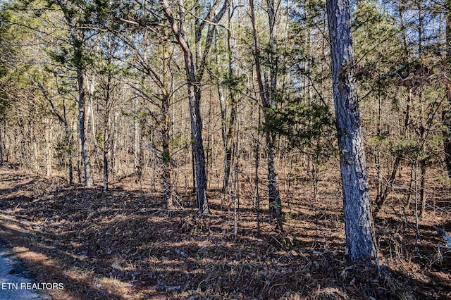 Listing photo 3 for 5ACRES S Nopone Valley Rd, Decatur TN 37322