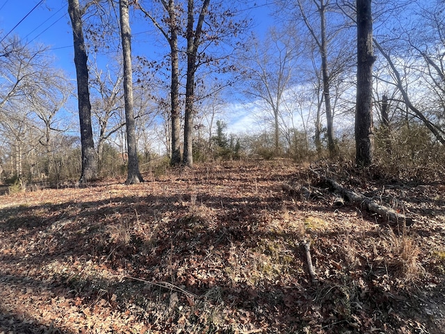 0 S Ehrich Ave, Bridgeport AL, 35740 land for sale