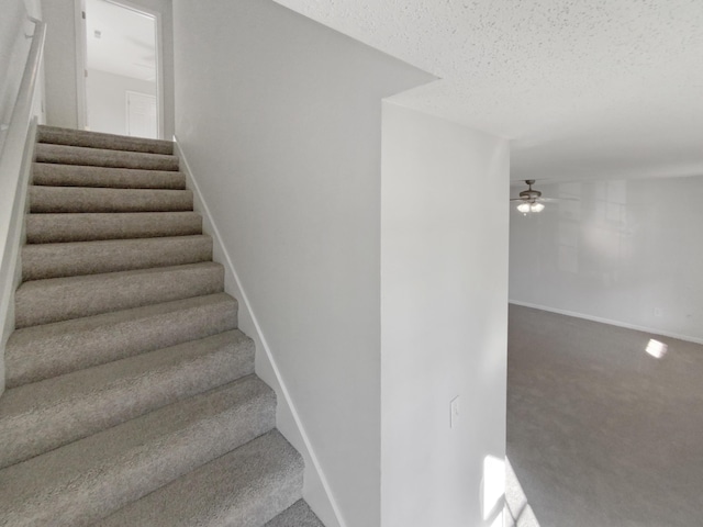 staircase featuring ceiling fan, carpet, and a textured ceiling