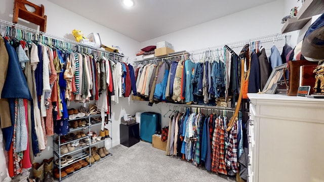 spacious closet with carpet