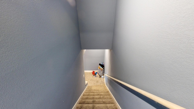 stairway featuring carpet