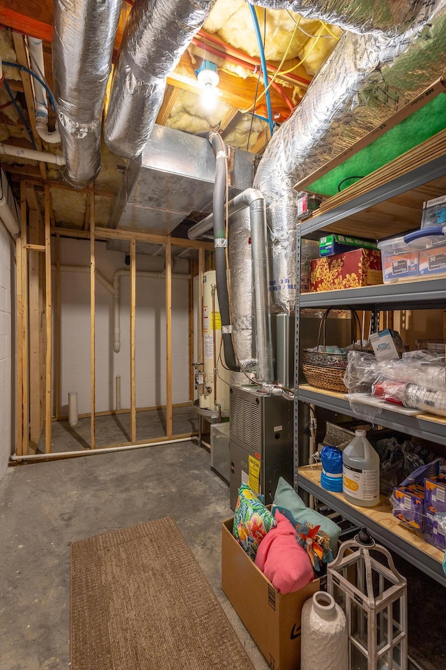 basement featuring gas water heater