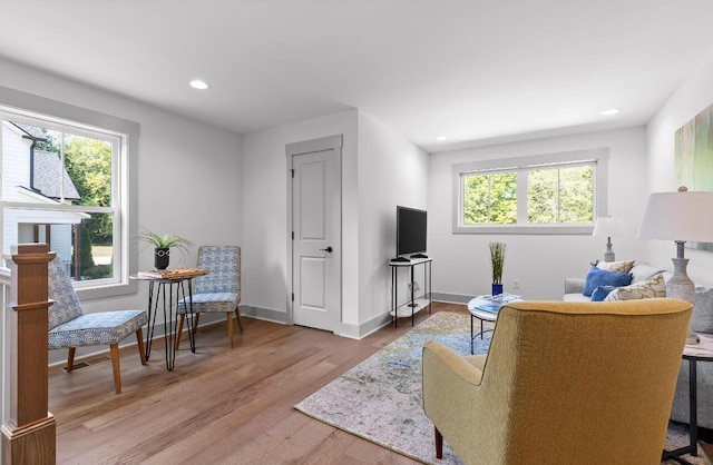 living room with light wood-type flooring