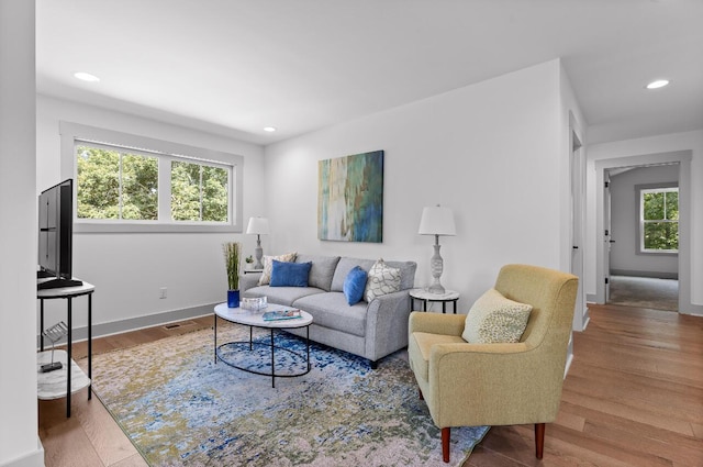 living room featuring wood-type flooring