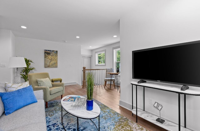 living room with hardwood / wood-style flooring