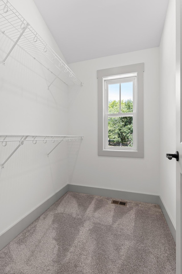 spacious closet with vaulted ceiling and carpet floors