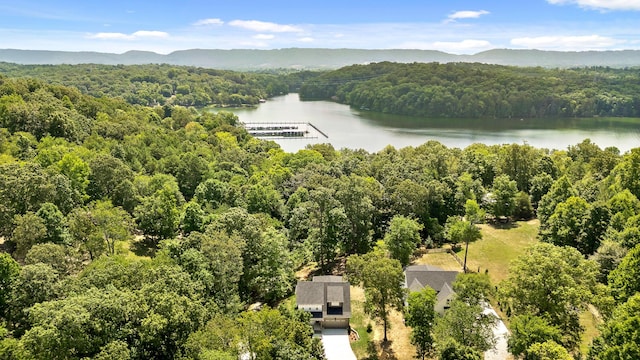 bird's eye view featuring a water and mountain view