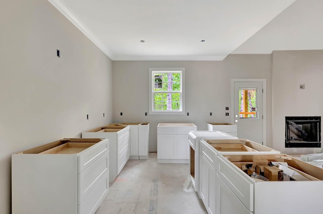 clothes washing area featuring ornamental molding and a glass covered fireplace