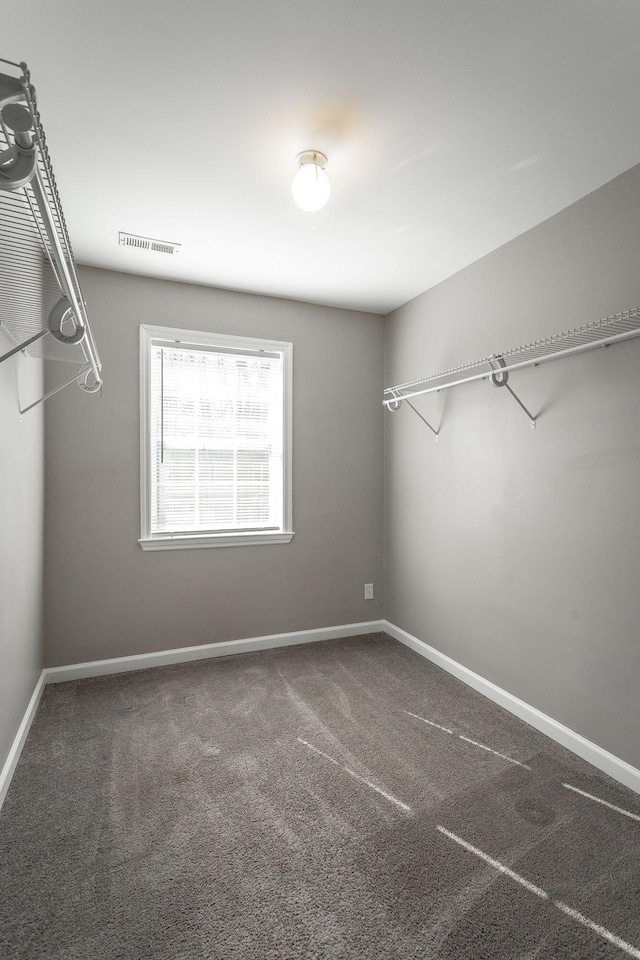 spacious closet featuring carpet flooring