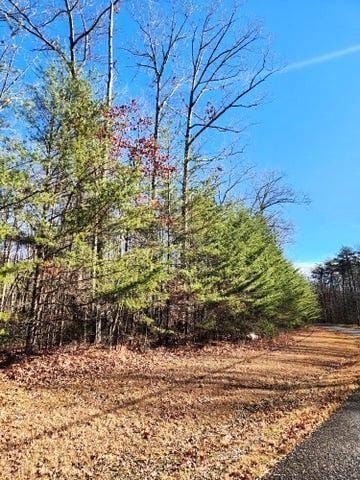 0 Ridge View Ln Unit 129, Spencer TN, 38585 land for sale