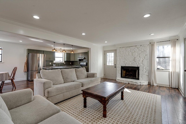 living room featuring sink, ornamental molding, dark hardwood / wood-style floors, and a fireplace